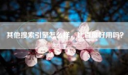 其他搜索引擎怎么样，比百度好用吗？