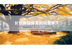 长安深蓝保养周期是多久