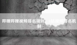 哔哩哔哩视频排名规则，b站视频排名机制