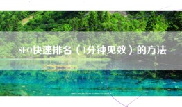 SEO快速排名（1分钟见效）的方法