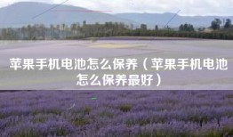 苹果手机电池怎么保养（苹果手机电池怎么保养最好）