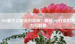 SEO是什么职业的简称？揭秘SEO行业的潜力与前景