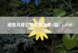 销售月度总结汇报大全(5篇) .pdfVIP