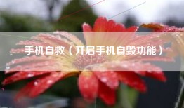 手机自救（开启手机自毁功能）