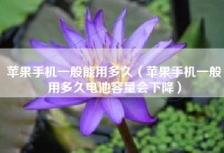 苹果手机一般能用多久（苹果手机一般用多久电池容量会下降）