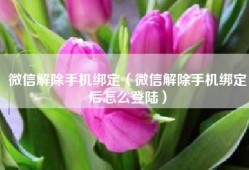 微信解除手机绑定（微信解除手机绑定后怎么登陆）