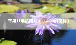 苹果八手机图片（iphone 8的图片）
