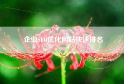 企业SEO优化网站快速排名