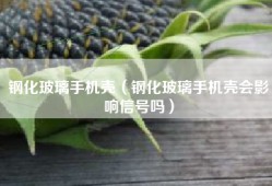 钢化玻璃手机壳（钢化玻璃手机壳会影响信号吗）