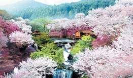 武汉到桂林旅行团 武汉到桂林旅行社报价 桂林超值特价五日游
