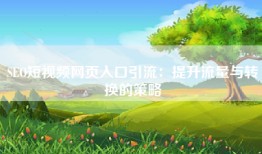 SEO短视频网页入口引流：提升流量与转换的策略