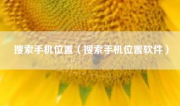 搜索手机位置（搜索手机位置软件）