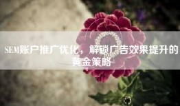SEM账户推广优化，解锁广告效果提升的黄金策略