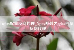 nginx配置反向代理_Nginx系列之nginx四层反向代理