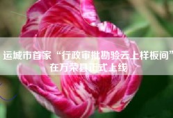 运城市首家“行政审批勘验云上样板间”在万荣县正式上线