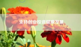 支持创业投资健康发展