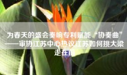 为春天的盛会奏响专利赋能“协奏曲”——审协江苏中心热议江苏如何挑大梁走在前
