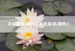 手机能接u盘吗（手机能读u盘吗）