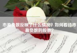 市盈负数反映了什么情况？如何看待市盈负数的股票？
