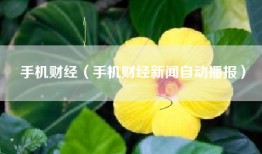 手机财经（手机财经新闻自动播报）