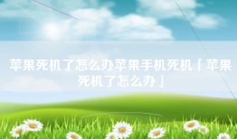 苹果死机了怎么办苹果手机死机「苹果死机了怎么办」