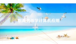 职高男孩学计算机应用