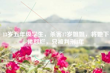 13岁五年级学生，杀害17岁姐姐，将她怼烂，只被判刑3年