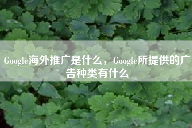 Google海外推广是什么，Google所提供的广告种类有什么