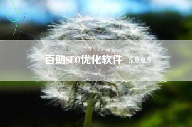 百助SEO优化软件  5.0.0.9