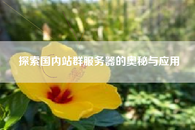 探索国内站群服务器的奥秘与应用