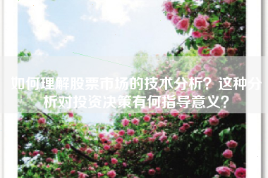 如何理解股票市场的技术分析？这种分析对投资决策有何指导意义？