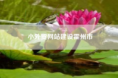 小外贸网站建设霍州市