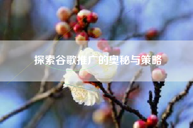 探索谷歌推广的奥秘与策略