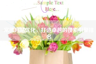 常德网站优化，打造卓越的搜索引擎排名