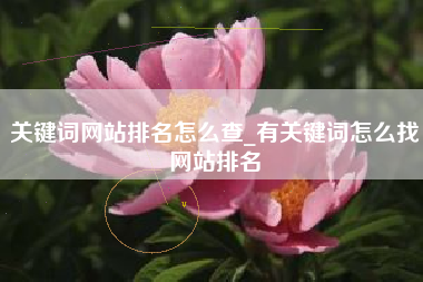 关键词网站排名怎么查_有关键词怎么找网站排名