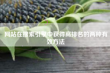 网站在搜索引擎中获得高排名的两种有效方法
