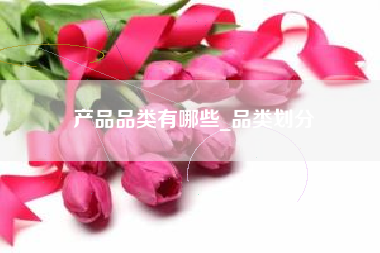 产品品类有哪些_品类划分
