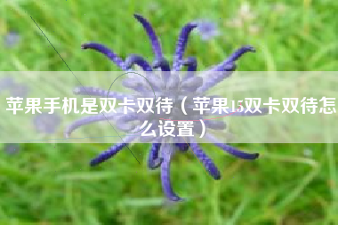 苹果手机是双卡双待（苹果15双卡双待怎么设置）