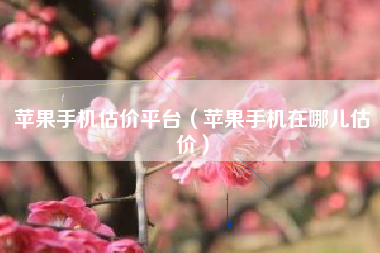 苹果手机估价平台（苹果手机在哪儿估价）