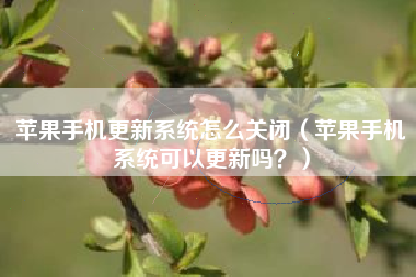 苹果手机更新系统怎么关闭（苹果手机系统可以更新吗？）
