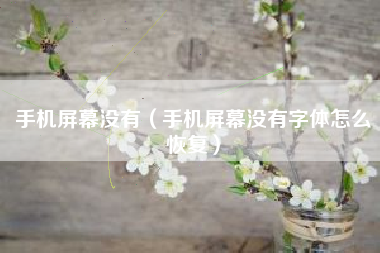 手机屏幕没有（手机屏幕没有字体怎么恢复）