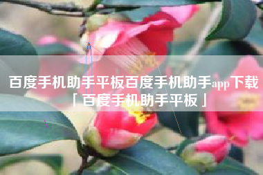 百度手机助手平板百度手机助手app下载「百度手机助手平板」