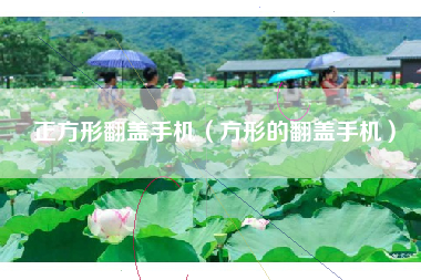 正方形翻盖手机（方形的翻盖手机）