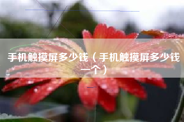 手机触摸屏多少钱（手机触摸屏多少钱一个）