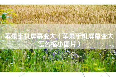 苹果手机屏幕变大（苹果手机屏幕变大怎么缩小图片）