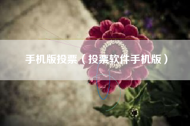 手机版投票（投票软件手机版）