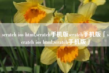 scratch ios html,scratch手机版scratch手机版「scratch ios html,scratch手机版」