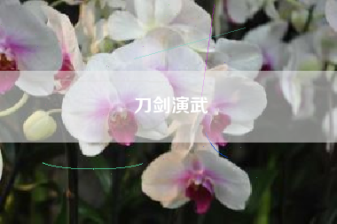 刀剑演武